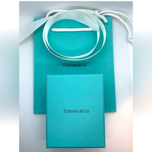 Tiffany & Co. Authentic 18k White Gold & Ruby Atlas Key Pendant NEW w/ Packaging - Picture 4 of 5